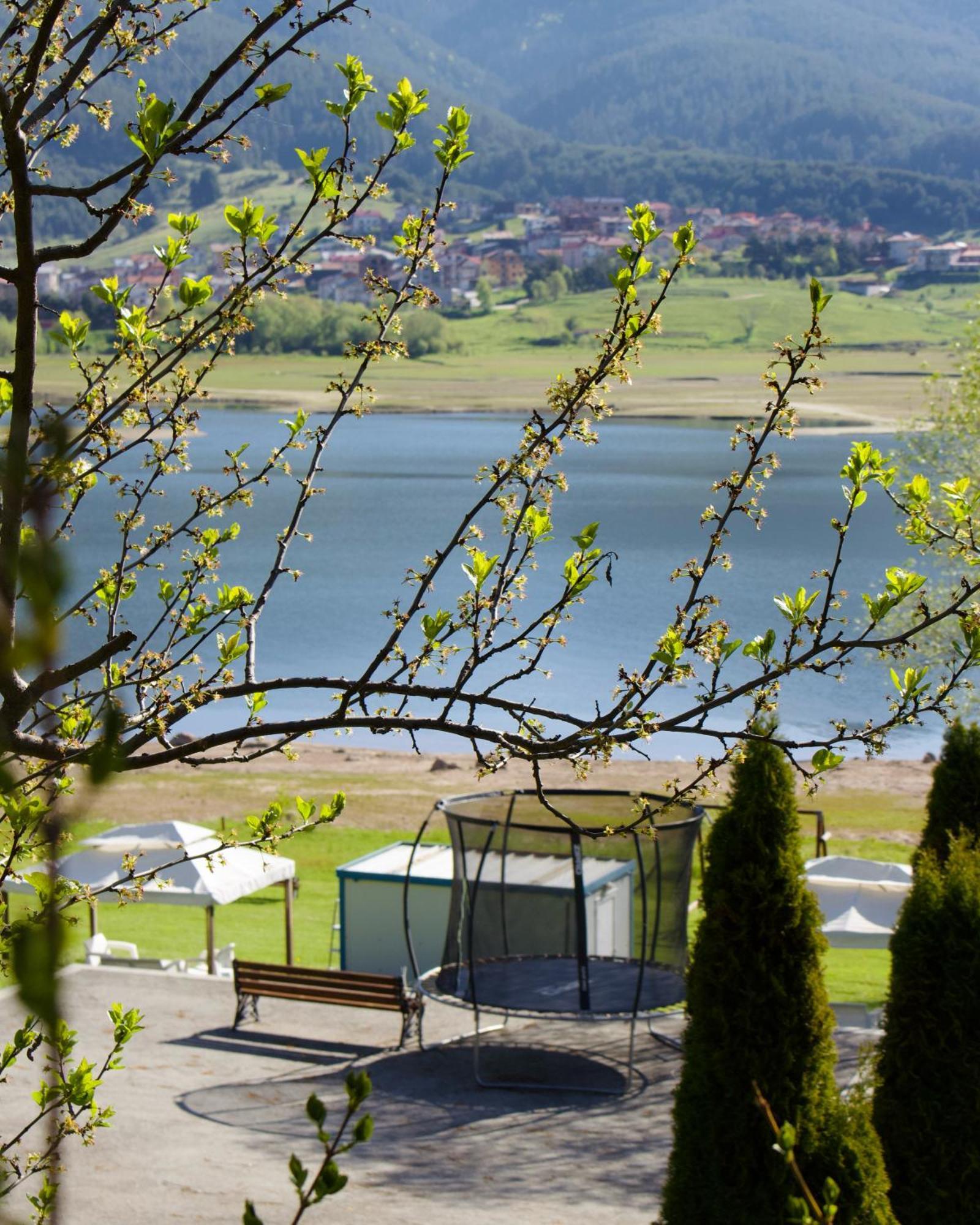 Vip Complex * Sarnitsa